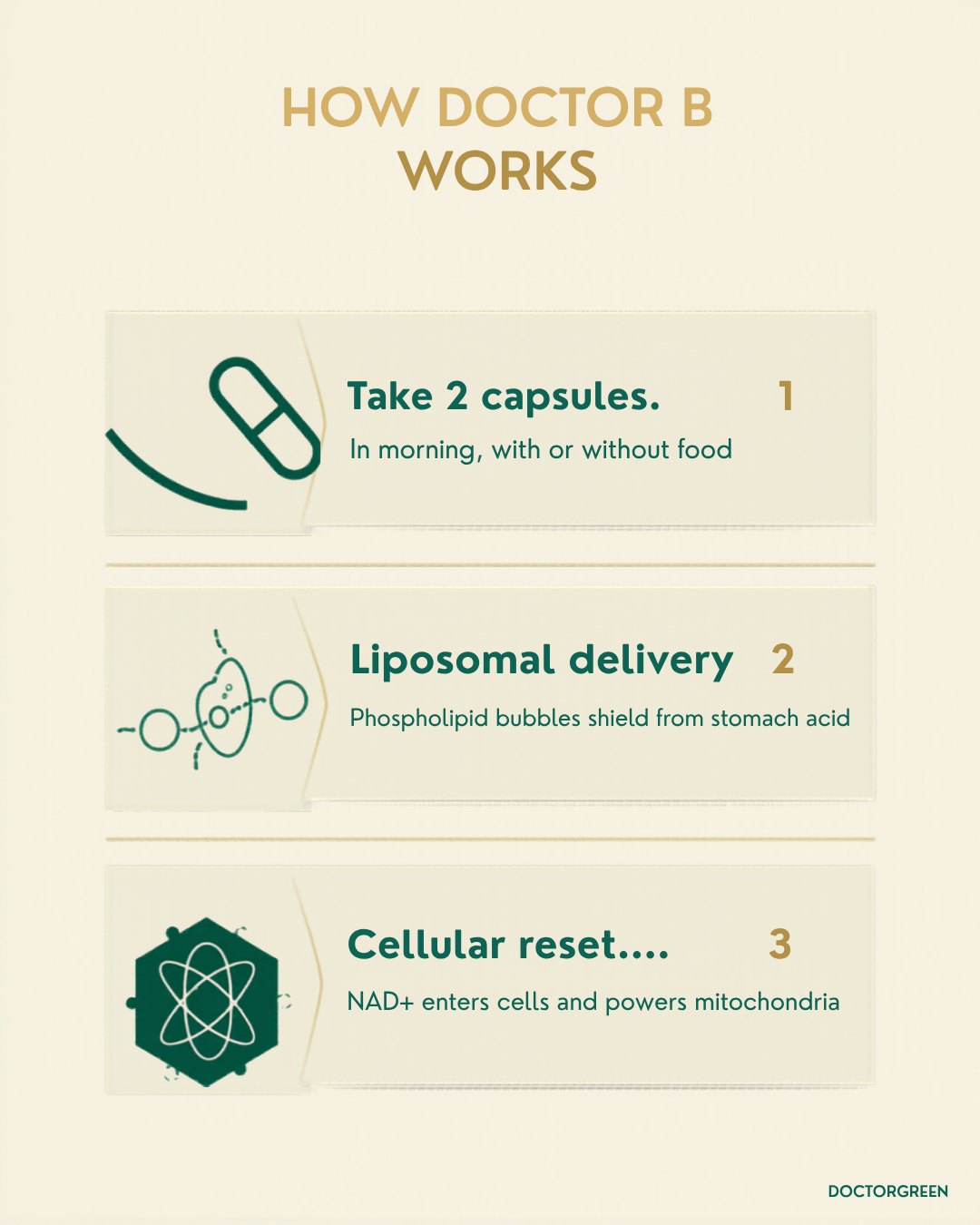 How Doctor B Works — 3 steps
