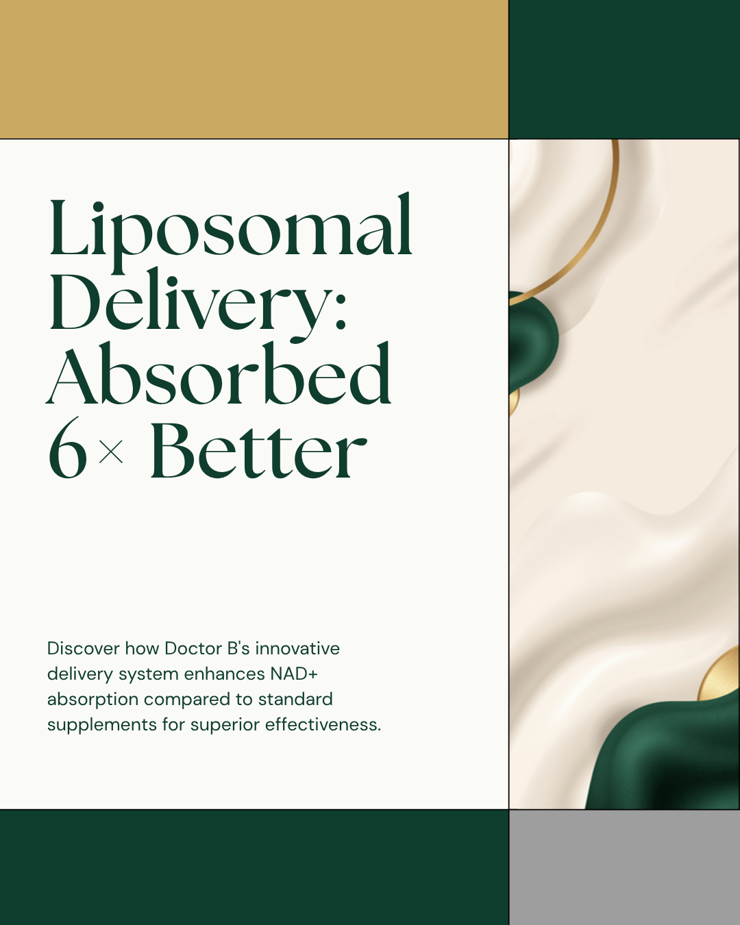 Liposomal Delivery: Absorbed 6× Better